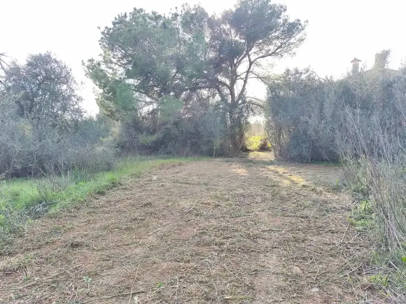 Rustic estate for sale on Camí de Sencelles, excellent location minutes from Inca center — photo 5