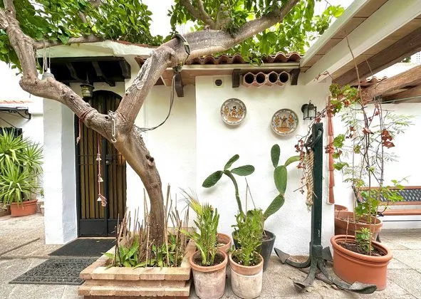 Flat / apartment in Sant Agustí, Palma de Mallorca — photo 1