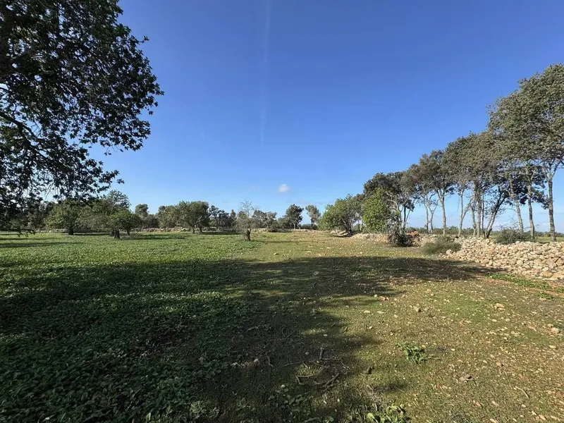 Exclusive building plot just a few minutes from Cas Conc... — photo 4