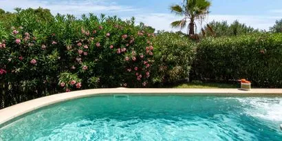 Real estate picture 0 Ref. No. 84017 — photo 8