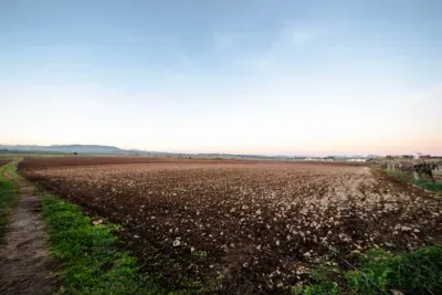 Building land for sale in Felanitx — photo 2