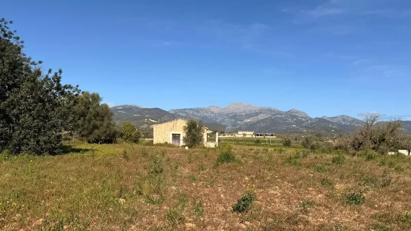 Large rustic estate of 11,000 m² in Lloseta, with existing house and renovation project — photo 3