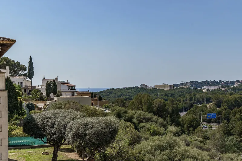 Historic real estate with guest apartment for sale in luxury area of Palma — photo 2