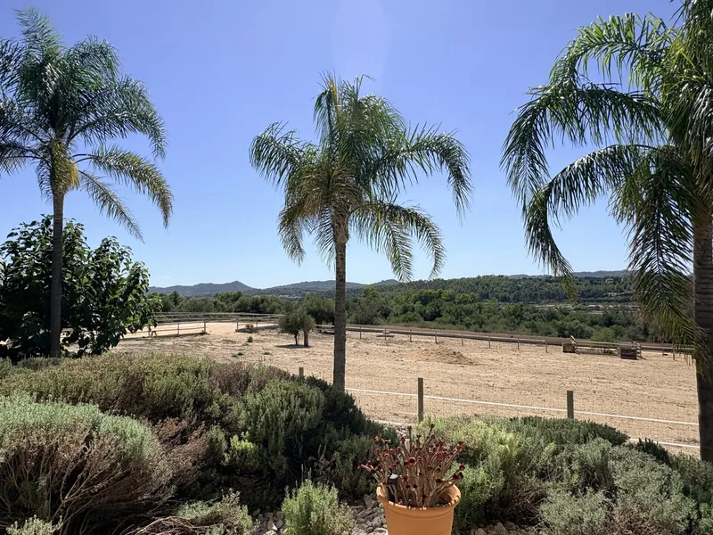 Exclusive finca for horse lovers near Montuïri — photo 12