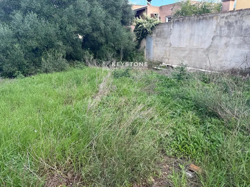Plot — photo 8