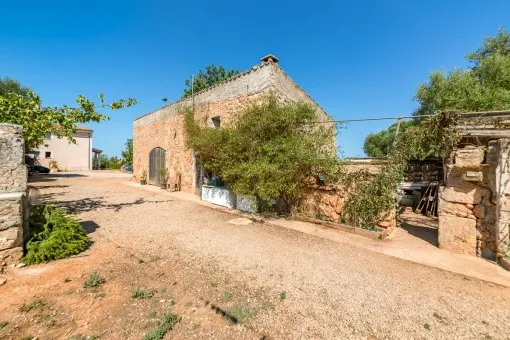 Algaida, impressive finca with large plot and agricultural possibilities — photo 11