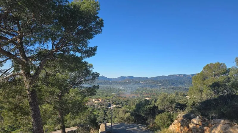 Land in Bunyola, Province of Balearic Islands — photo 9