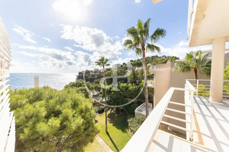 Duplex for rent with sea views in Puerto de Andratx — photo 7