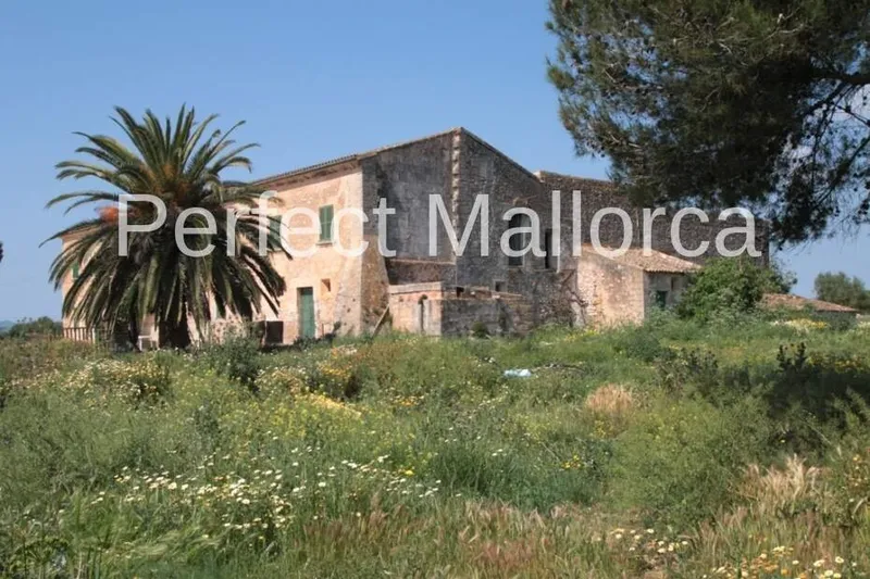 851,360 m² estate with 600 m² living space for sale — photo 6