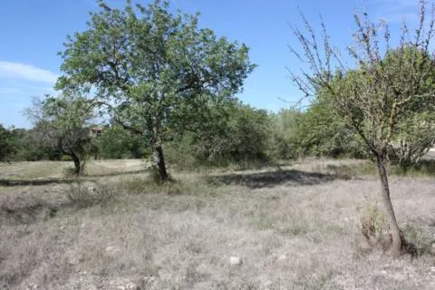 Plot — photo 3
