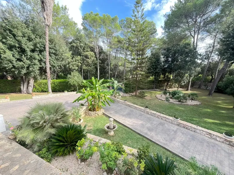 Spectacular chalet in Son Toni – Natural surroundings and exclusivity — photo 6