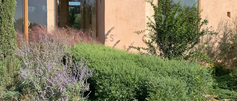 New low-energy finca near Es Trenc in the south of Mallorca — photo 8