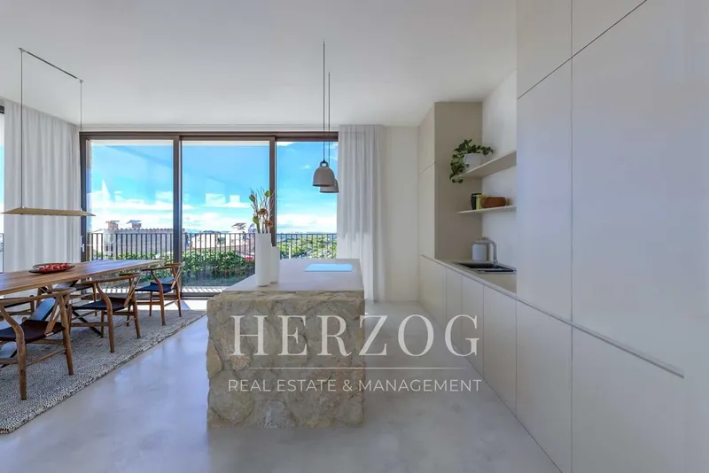 Exclusive double plot with sea views and villa project in Génova — photo 9