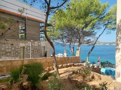 Apartment in Calvià (Costa de la Calma) with 42.5 m², 1 room, 1 bathroom, 50 m to the sea, lift, pool — photo 4