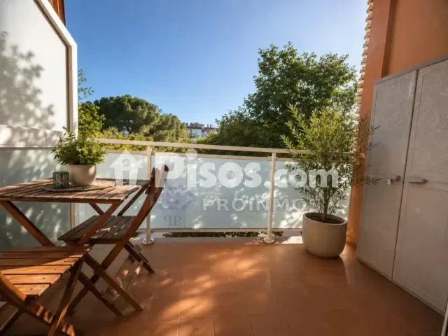 Apartment in Llevant — photo 1