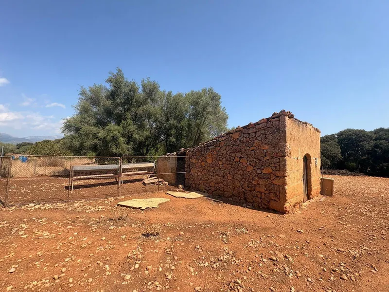 FINCA RUSTICA CON CASITA AGRARIA DE UNOS 34M2 CON CISTERNA — photo 1