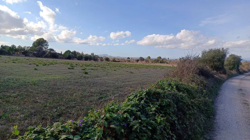 Rustic plot in Manacor — photo 2
