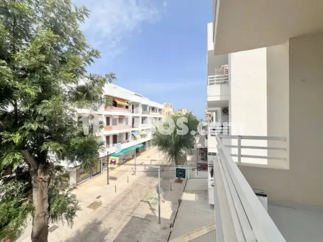Apartment in Cala Millor — photo 1