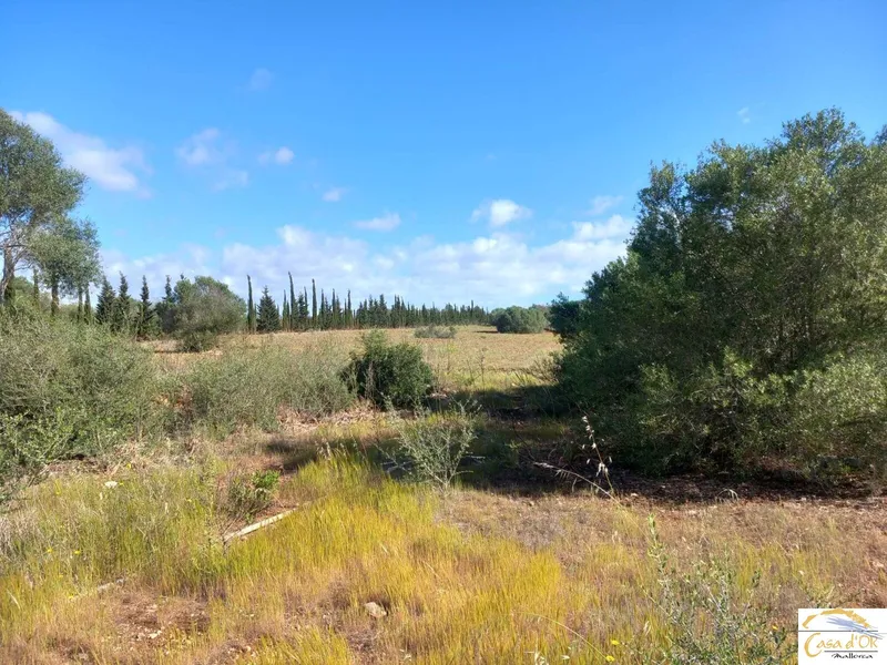 Contemporary Luxury Finca Project with Exceptional Development Potential in Mallorca — photo 12