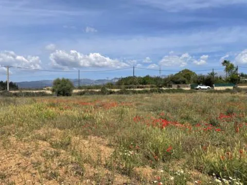 Plot — photo 9