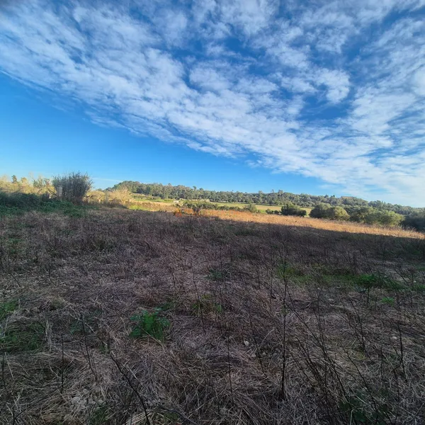 Rustic plot for sale – Municipality of Petra — photo 4