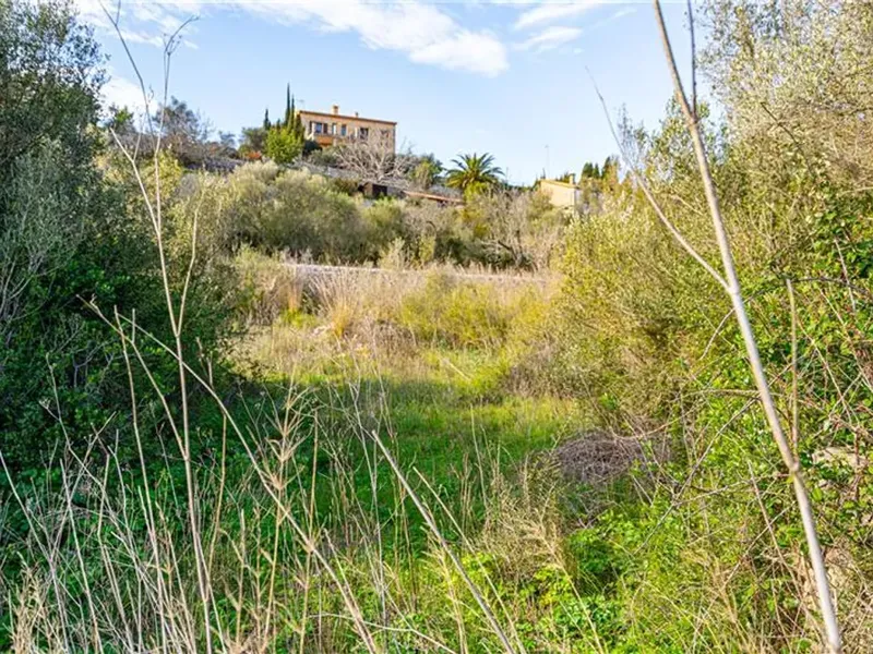 Land in Galilea, Mallorca — photo 3