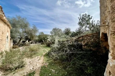 Ruin in Sineu, Mallorca — photo 11