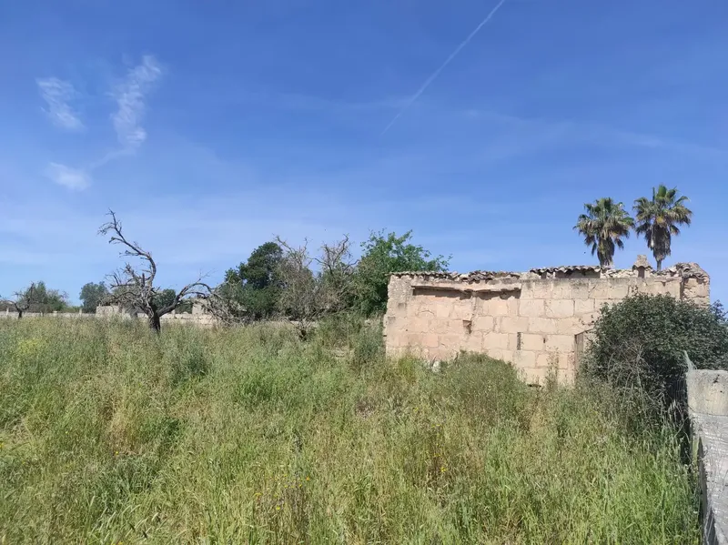 Fantastic Estate of 17,700m2 for Sale with Project for a 290m2 Single-Family Home in the Municipality of Sineu — photo 4