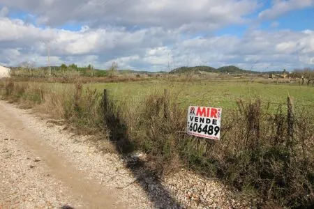 Rural Land - Sineu, Plot Surface 28600 m² — photo 1