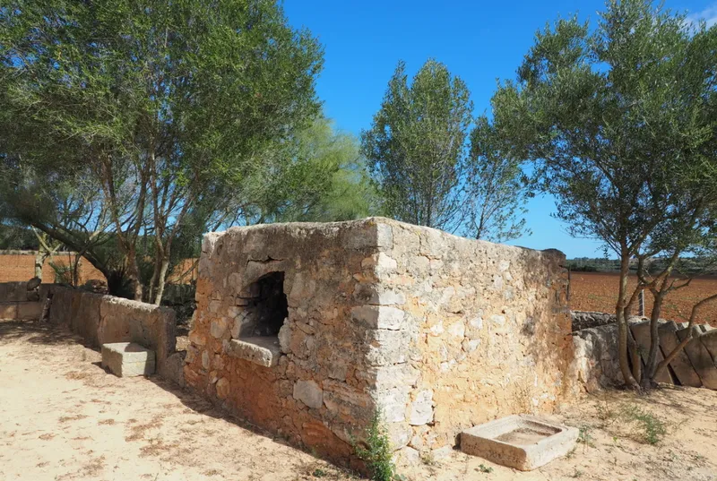 Rustic finca to renovate in San Lorenzo — photo 10