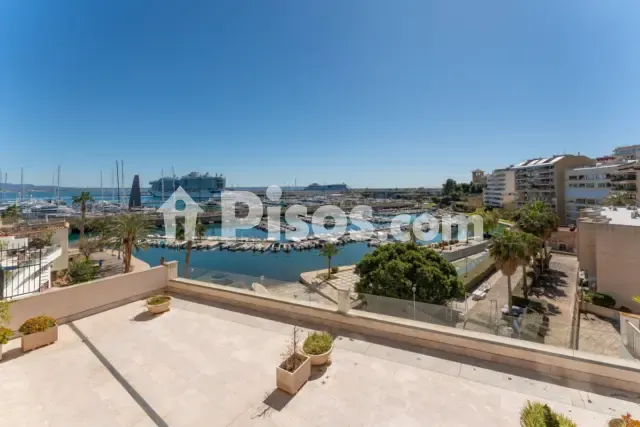 Apartment in El Terreno — photo 2