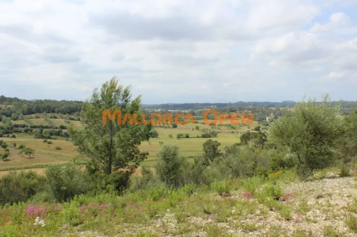 Rustic land for sale in Villafranca — photo 4