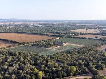 Rustic house for sale in Vilafranca de Bonany — photo 1