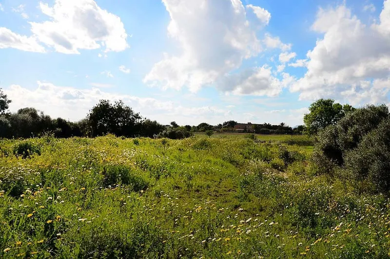 Large building plot with open views near Felanitx at Puig de Sant Salvador — photo 8