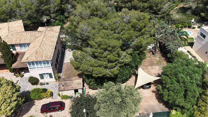 Buildable plot in Maioris — photo 9
