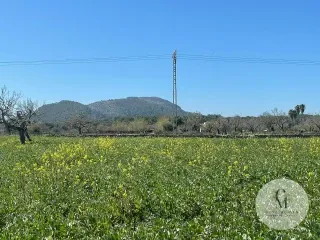 Exclusive Rustic Estate for Sale at C&M Fine Homes - A Haven of Tranquility in Alcúdia — photo 6