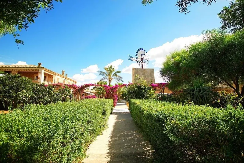 Hotel in ses Salines, Province of Balearic Islands — photo 5