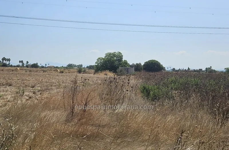 Rustic estate for sale in Muro, in the Son Mieres area — photo 5