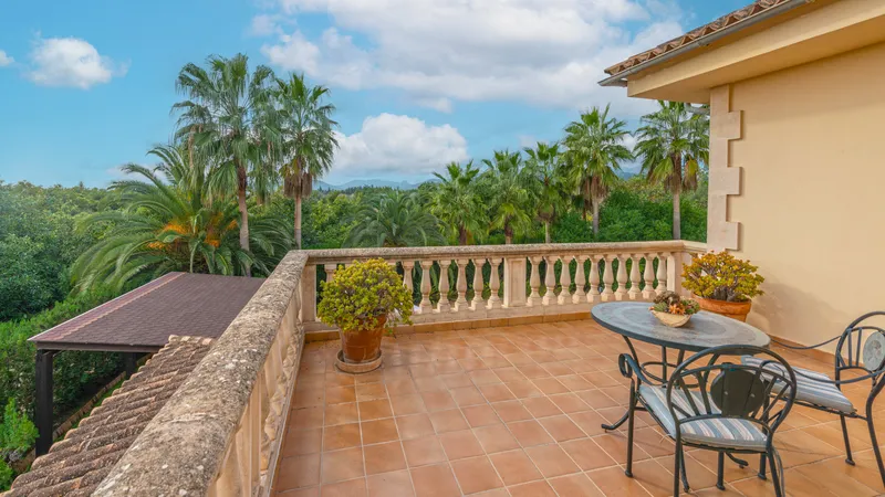 Finca in Son Sardina with vacation rental license and own avocado plantation — photo 10