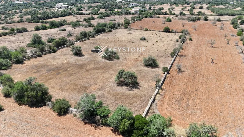 Plot — photo 8