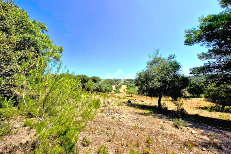Large Rustic Estate of 266,000 m2 in Artà — photo 5