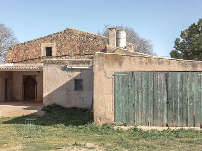 Luxury home in Felanitx, Province of Balearic Islands — photo 3