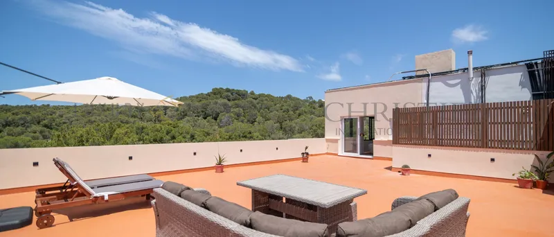 Renovated penthouse in El Terreno, Palma, with a large terrace and sea views — photo 1