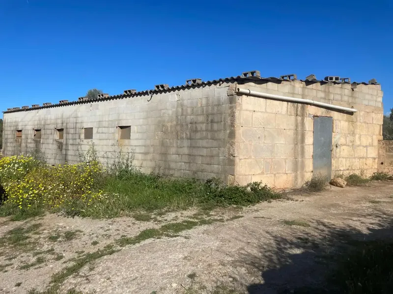 Rustic Farmhouse with Agricultural Classification, Located in the Sineu Area of Mallorca, Known for Its Pleasant Mediterranean Climate, It Has a C — photo 1