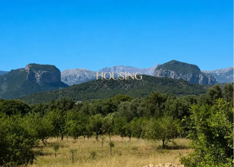 Brand New! Spectacular Rustic Property with Pool in Consell — photo 11