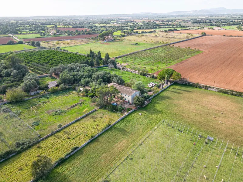 Magnificent rustic estate in the Porreres area — photo 2