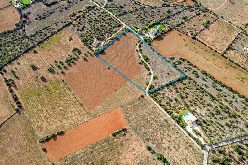 Plot in Ses Salines: The Perfect Place to Create Your Home in Mallorca — photo 8