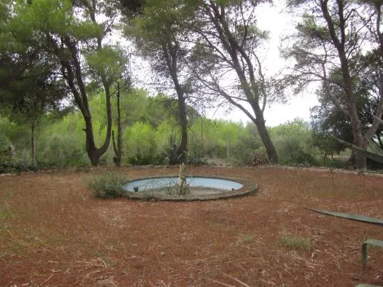 Finca in Bonaire, Alcudia — photo 8