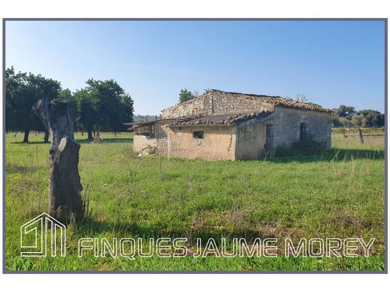 Country houses — photo 3