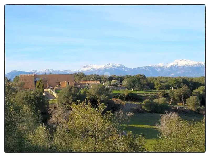Exclusive rustic estate of Son Marrón, result of segregations of the ancient Islamic farmhouse, which in the year 1232 was called Beni-Taref — photo 2